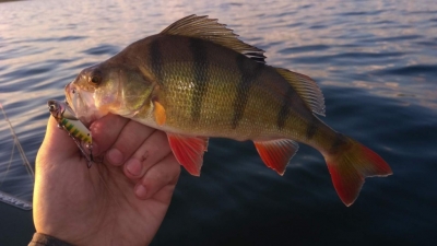 Рыбалка на озерах Борового - 7500/5000 тг